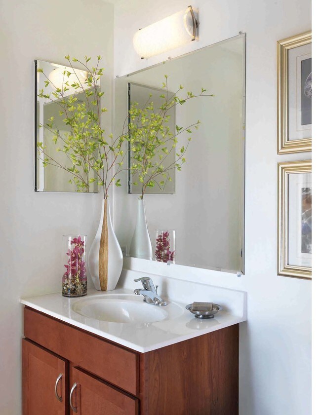 Apartments at Coolidge School 55+ Watertown, Massachusetts 1 unit