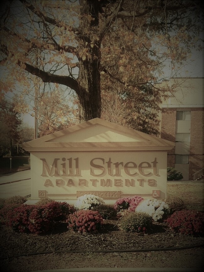 Building Photo - Mill Street Apartments